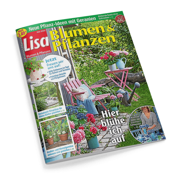 Zeitschrift des Monats... LISA BLUMEN & PFLANZEN!