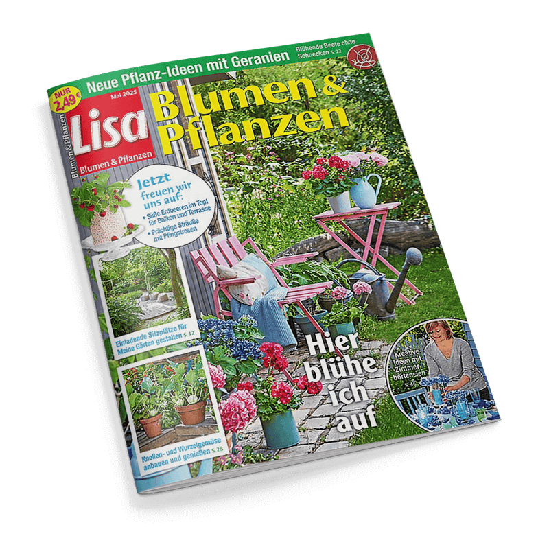Zeitschrift des Monats... LISA BLUMEN & PFLANZEN!