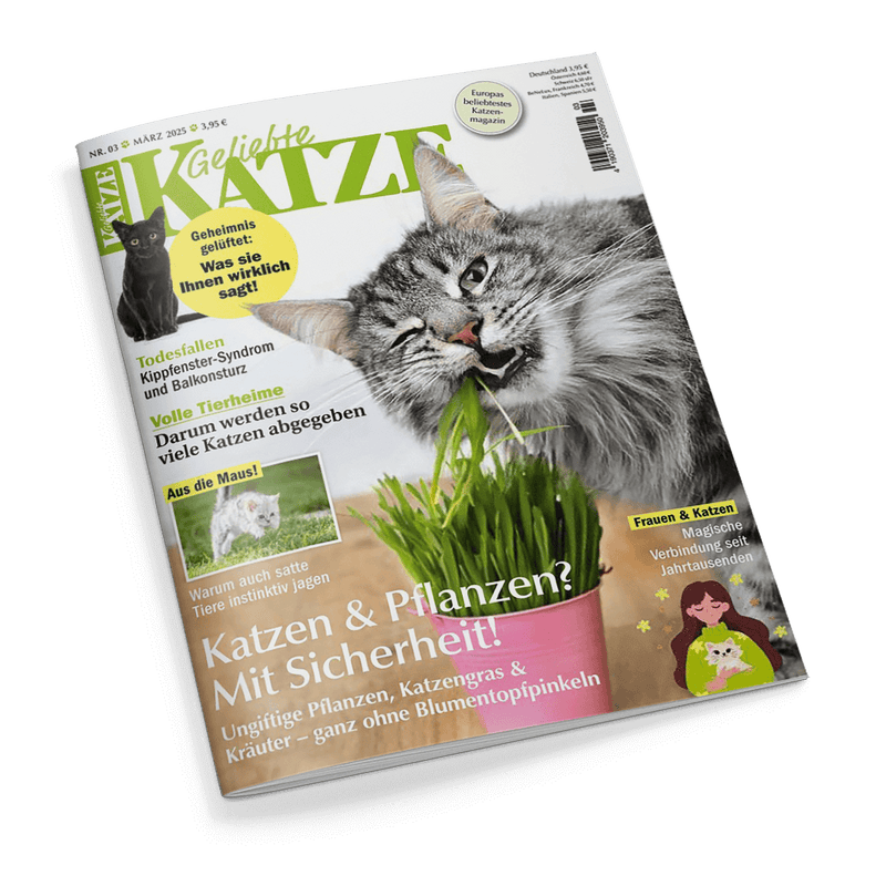 Titelbild der Zeitschrift „Geliebte Katze“, Ausgabe Nr. 03 März 2025; im Vordergrund eine graugetigerte Katze, die an grünem Katzengras in einem pinken Blumentopf knabbert. Textelemente u. a.: „Katzen & Pflanzen? Mit Sicherheit!“, „Todesfallen Kippfenster-Syndrom und Balkonsturz“, „Darum werden so viele Katzen abgegeben“, „Geheimnis gelüftet: Was sie Ihnen wirklich sagt“, sowie ein gelbes Label „Europas beliebtestes Katzenmagazin“. Oben rechts Barcode mit Preisangabe.