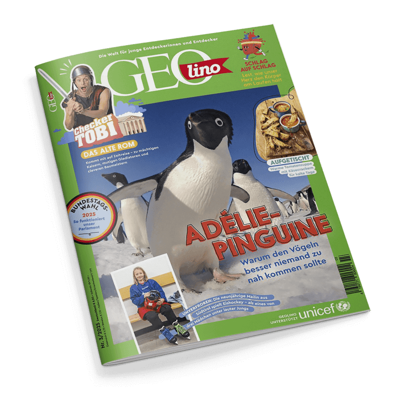 Titelbild der Kinderzeitschrift „GEOlino“, Ausgabe Nr. 3/2025, dominiert von einer Nahaufnahme mehrerer Adélie-Pinguine auf Schnee mit roter Überschrift „Adélie-Pinguine – Warum den Vögeln besser niemand zu nah kommen sollte“. Oberer Rand mit grünem Hintergrund, Logo „GEOlino“ und Beiträgen u. a. „Checker Tobi – Das alte Rom“, „Schlag auf Schlag“, „Aufgetischt – Warme Tacosuppe“. Unten ein Bild eines Eishockey spielenden Mädchens mit Text über ein neunjähriges Mädchen im Jungenteam.