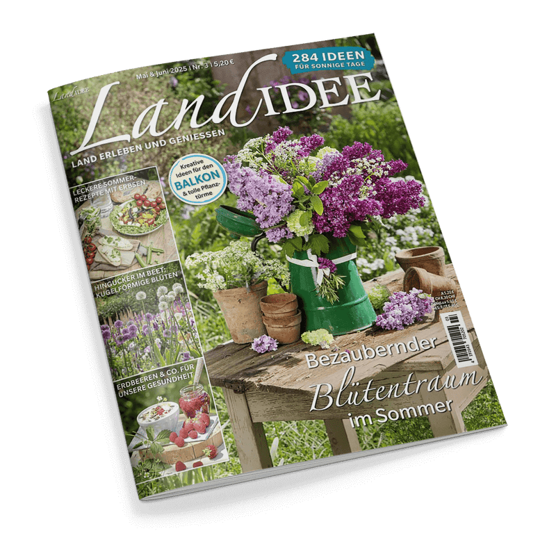 Titelbild der Zeitschrift „LandIDEE“ mit einem sommerlich dekorierten Holztisch auf einer Wiese, darauf ein grüner Krug mit lila und weißen Fliederblüten, Ton- und Zinktöpfe sowie lose Blüten; oben stehender Text: „284 Ideen für sonnige Tage“, weitere sichtbare Schlagzeilen zu Rezepten mit Erbsen, kugelförmigen Blüten im Beet, Erdbeeren und Gesundheit.