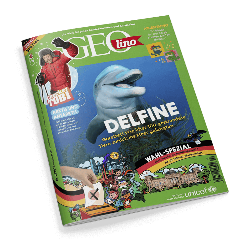 Titelbild der Zeitschrift „GEOlino“, Ausgabe Nr. 2/2025, mit grünem Rahmen, zentralem Bild eines Delfins unter Wasser und der Aufschrift „DELFIN – Gerettet! Wie über 100 gestrandete Tiere zurück ins Meer gelangten“. Links oben ein Foto des männlichen Checkers Tobi mit der Aufschrift „Checker Tobi – Arktis und Antarktis“, unten eine Illustration zum Thema Bundestagswahl mit Stimmzettel, Wahllokal und gezeichneten Personen, rechts unten UNICEF-Logo.