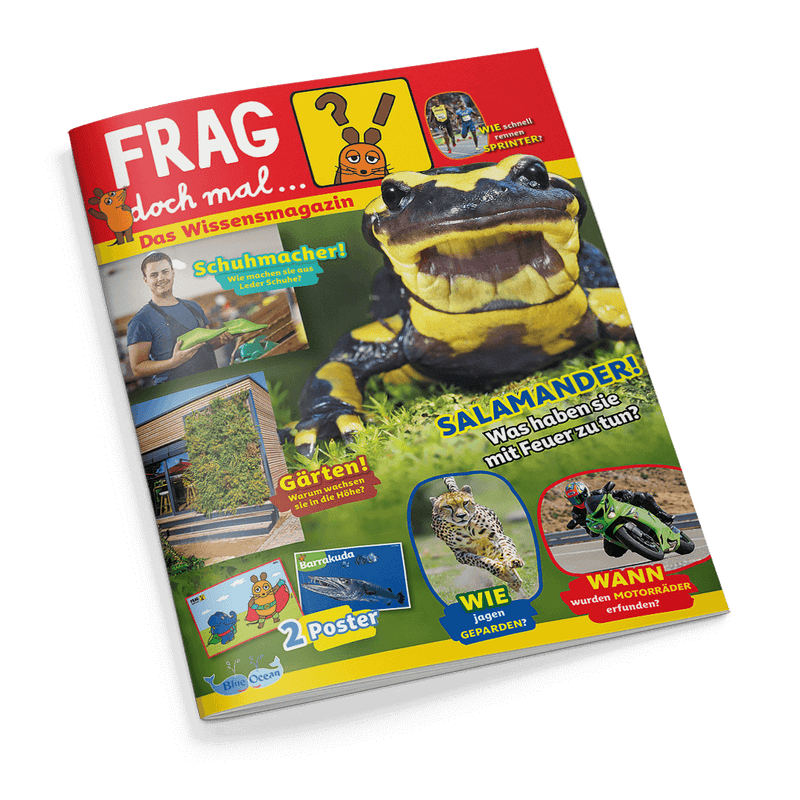 Titelbild des Kindermagazins „FRAG doch mal… Das Wissensmagazin“ mit gelb-schwarzem Salamander im Zentrum, umgeben von Texten wie „SALAMANDER! Was haben sie mit Feuer zu tun?“, „Schuhmacher! Wie machen sie aus Leder Schuhe?“, „WIE jagen GEPARDEN?“ und „WANN wurden MOTORRÄDER erfunden?“, mit Fotos eines Mannes mit Schuh, eines begrünten Hauses, eines Geparden, eines Motorrads und zwei abgebildeten Postern; Logo „Blue Ocean“ unten links.