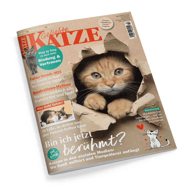 Titelbild der Zeitschrift „Geliebte Katze“, Ausgabe Februar 2025; zentral ein orange-weißes Kätzchen, das durch zerrissenes braunes Papier blickt, drumherum Texte wie „Futter-Trends 2025“, „Kastrations-Mythen“, „Bin ich jetzt berühmt?“ und „Step by Step zu noch mehr Bindung & Vertrauen“ sowie mehrere kleinere Fotos und Zeichnungen von Katzen, Hintergrund in beigebrauner Farbe mit angedeuteter Kartonstruktur.
