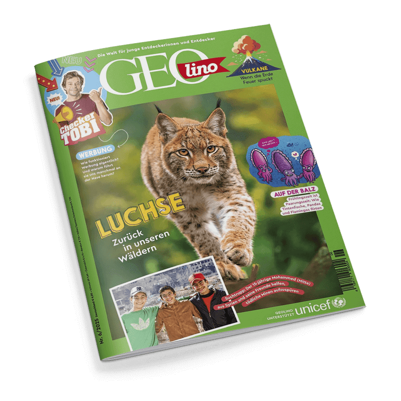 Titelbild der Kinder- und Jugendzeitschrift „GEOlino“, Ausgabe Nr. 6/2025, mit grünem Randdesign und zentralem Foto eines Luchses im Wald; Schriftzug „LUCHSE – Zurück in unseren Wäldern“, daneben violette Zeichnung zweier Mikroorganismen mit Text „AUF DER BALZ“, links oben Bild von „Checker Tobi“ mit Aufschrift „NEU“, am unteren Bildrand Foto von vier Jugendlichen in winterlicher Kleidung; Schriftzug „GEOlino unterstützt UNICEF“ unten rechts.