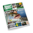 Titelblatt der Zeitschrift „AngelWoche“ Ausgabe 14/2026 mit großem Foto eines gefangenen Rapfens, der einen weißen Kunstköder im Maul hat, im Hintergrund Wasser und Steinufer. Überschrift „Rapfen auf Raub!“, Unterzeilen zu Ködern, Taktik und Angelsee. Weitere Textfelder: „Weiher – klein aber fein!“, „Gummifransen bringen bessere Barsche“, Werbung und Rubrik „Frage der Woche“.
