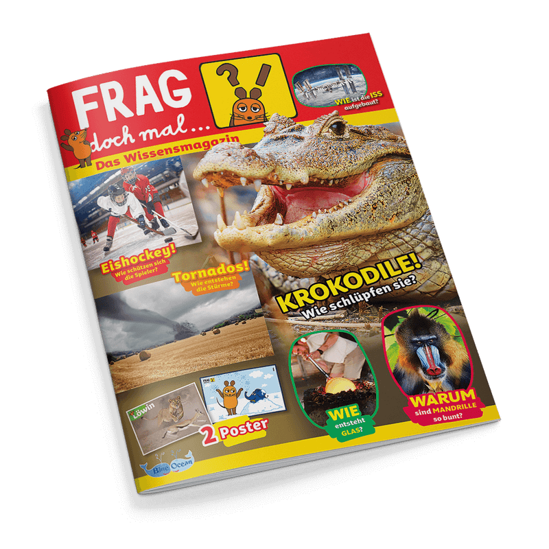 Hochglänzendes Kinderwissensmagazin mit rotem Titelbalken „FRAG doch mal…“, darunter „Das Wissensmagazin“ mit orangener Maus-Zeichnung, zentrales Motiv ist ein aufgerissenes Krokodilmaul mit gelbem Text „KROKODILE! Wie schlüpfen sie?“, weitere Themen: Eishockey, Tornados, Glasherstellung, Mandrill-Affe, 2 Poster mit Löwin und Giraffe, Blue-Ocean-Logo unten links, bunte Umrandungen und Fotocollagen auf weißem Hintergrund.