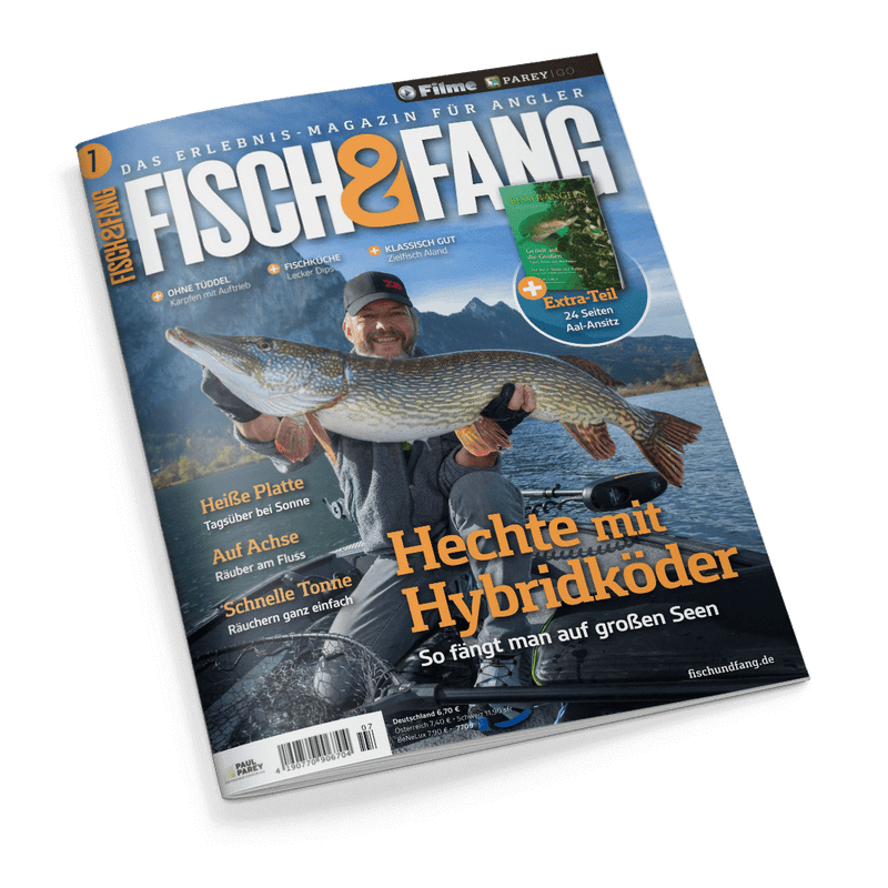Titelbild der Angelzeitschrift „Fisch & Fang“ mit einer männlichen Person, die auf einem Boot sitzend einen großen Hecht waagerecht vor dem Körper hält; Hintergrund zeigt einen See mit Berglandschaft. Links mehrere gelbe und weiße Überschriften wie „Heiße Platte – Tagsüber bei Sonne“, „Auf Achse – Räuber am Fluss“, „Schnelle Tonne – Räuchern ganz einfach“, zentral orange Schriftzug „Hechte mit Hybridköder“. Oben rechts Hinweis auf einen „Extra-Teil 2×4 Seiten Aal-Ansitz“.