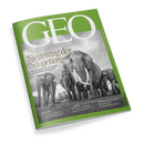 Titelbild der Zeitschrift „GEO“, Ausgabe Februar 2025, mit grünem Rahmen und großem weißen „GEO“-Logo oben; zentrale Schwarz-Weiß-Fotografie zeigt eine Gruppe gehender Elefanten aus Froschperspektive, mittiger Text: „Siegeszug der Säugetiere – Wie im Schatten der Dinosaurier eine Weltmacht heranwuchs“, weitere Artikelhinweise unten: „GRÖNLAND – Das dunkle Vermächtnis der dänischen Herrschaft“, „FLORIDA – Everglades: Rettung eines Paradieses“, „DENKER KOHEI SAITO – Mit Karl Marx das Weltklima retten?“.