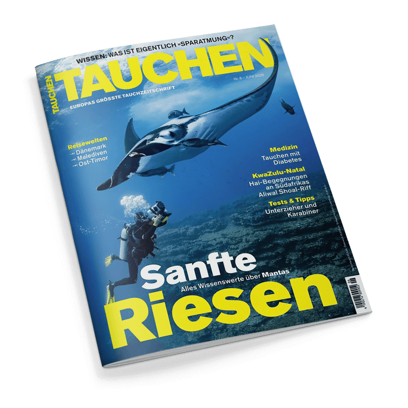 Titelbild der Zeitschrift „TAUCHEN“ mit einem Unterwasserfoto, das eine tauchende Person in voller Ausrüstung sowie einen darüber schwimmenden Manta-Rochen zeigt; im Hintergrund ein Meeresboden mit Felsen; prominente Aufschrift in Gelb und Weiß: „Sanfte Riesen – Alles Wissenswerte über Mantas“; weitere sichtbare Themen: Reisen, Medizin, Kwazulu-Natal, Tests & Tipps; Ausgabe Nr. 6, Juni 2025.