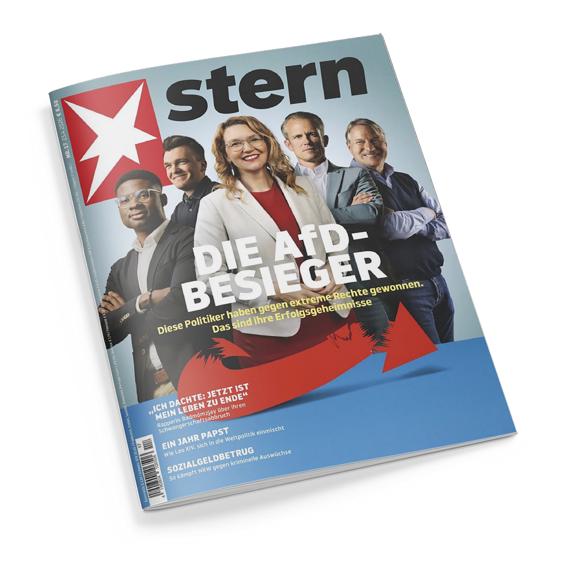 Titelblatt der Zeitschrift „stern“, Ausgabe Nr. 21 / 2024. Fünf Personen – drei männlich, zwei weiblich – stehen vor hellblauem Hintergrund; mittig vorn eine Frau in weißem Blazer mit rotem Oberteil. Großschrift: „DIE AFD‑BESIEGER“. Untertitel: „Diese Politiker haben gegen extreme Rechte gewonnen. Das sind ihre Erfolgsgeheimnisse“. Rote Pfeilgrafik auf blauem Untergrund, oben links das rote stern‑Logo mit weißem Sternsymbol.
