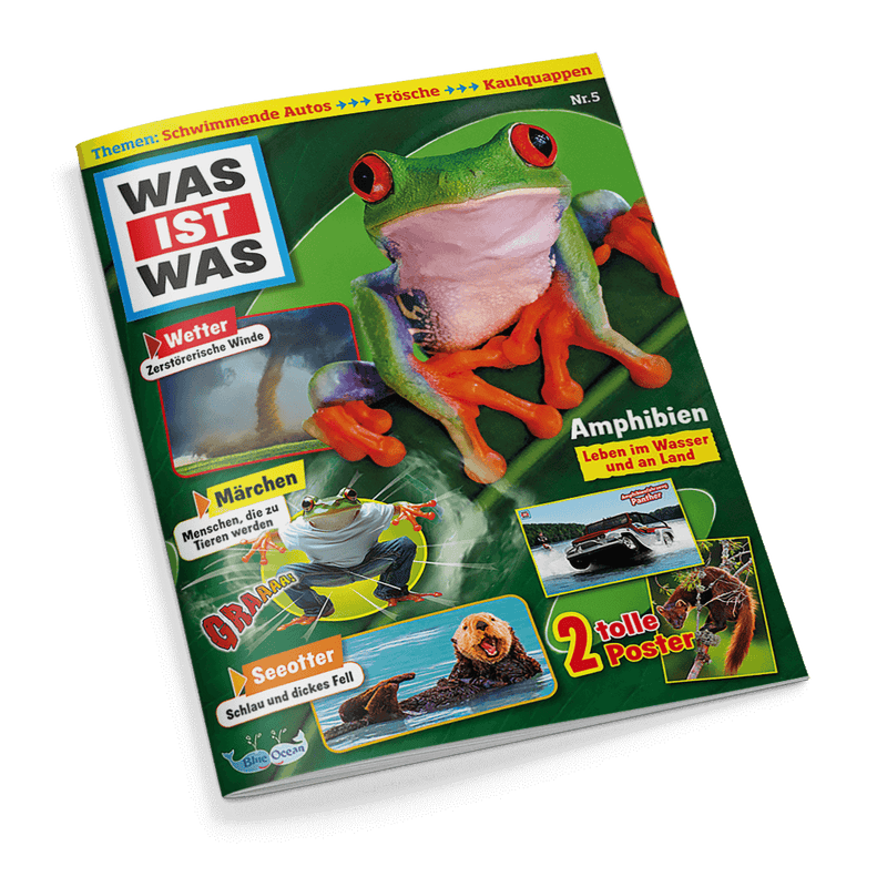 Titelbild des „WAS IST WAS“-Magazins Nr. 5 mit grünem Hintergrund und zentralem Bild eines rotäugigen Laubfroschs mit orangefarbenen Füßen; sichtbare Textelemente: „Amphibien – Leben im Wasser und an Land“, „Wetter – Zerstörerische Winde“, „Märchen – Menschen, die zu Tieren werden“, „Seeotter – Schlau und dickes Fell“, „2 tolle Poster“ sowie Themenleiste oben: „Schwimmende Autos“, „Frösche“, „Kaulquappen“.