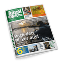 Titelbild der Zeitschrift „AngelWoche“, Ausgabe 3/2025 vom 17. Januar 2025; im Vordergrund eine außen sitzende, maskuline Person in dunkler Kleidung beim Angeln an einem Flussufer bei Sonnenuntergang, darüber groß: „Pack den Picker aus!“, Untertitel: „kleine Körbchen • kleine Köder“; oben rechts ein Nahfoto eines Hechtes mit der Überschrift „Warum sind Hechte so erfolgreiche Räuber?“, weitere Themenhinweise u.a.: „Technikspitzen von ASKARI“ (Seite 10), „Spoon ‚Plus‘ für zickige Lachsforellen“ (Seite 12).