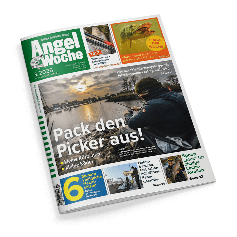Titelbild der Zeitschrift „AngelWoche“, Ausgabe 3/2025 vom 17. Januar 2025; im Vordergrund eine außen sitzende, maskuline Person in dunkler Kleidung beim Angeln an einem Flussufer bei Sonnenuntergang, darüber groß: „Pack den Picker aus!“, Untertitel: „kleine Körbchen • kleine Köder“; oben rechts ein Nahfoto eines Hechtes mit der Überschrift „Warum sind Hechte so erfolgreiche Räuber?“, weitere Themenhinweise u.a.: „Technikspitzen von ASKARI“ (Seite 10), „Spoon ‚Plus‘ für zickige Lachsforellen“ (Seite 12).