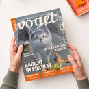 Titelblatt des Magazins „vögel“, gehalten von zwei Händen über einer hellen Oberfläche. Großes Titelfoto eines grauen Habichts mit weit ausgebreiteten Flügeln und gelben Augen, darunter eine kleinere Aufnahme eines Singvogels mit blau-orangefarbenem Brustgefieder. Sichtbare Texte: „MAGAZIN FÜR VOGELBEOBACHTUNG“, „HABICHT IM PORTRÄT“, „NEUER TIEFSTAND ERREICHT“, „BESSERE AUSSICHTEN“, „WIEDERERKANNT“, „WIEDERGEKEHRT“, „WIEDERBELEBT“.