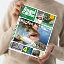 Person in beigefarbenem Strickpullover hält das Magazin „AngelWoche“, Ausgabe 14/2026. Titelbild mit großem Fischkopf mit weißem Kunstköder im Maul vor Wasserhintergrund, Hauptüberschrift „Rapfen auf Raub!“. Zusätzliche Texte: „Mehr über Köder und Taktik im Sommer: Seite 20“, „Posen-Schleppen im Sommer“, „4 Weiher – klein aber fein!“, „Welche Rolle am Forellensee?“ und weitere Themen im oberen grünen Kopfbereich.