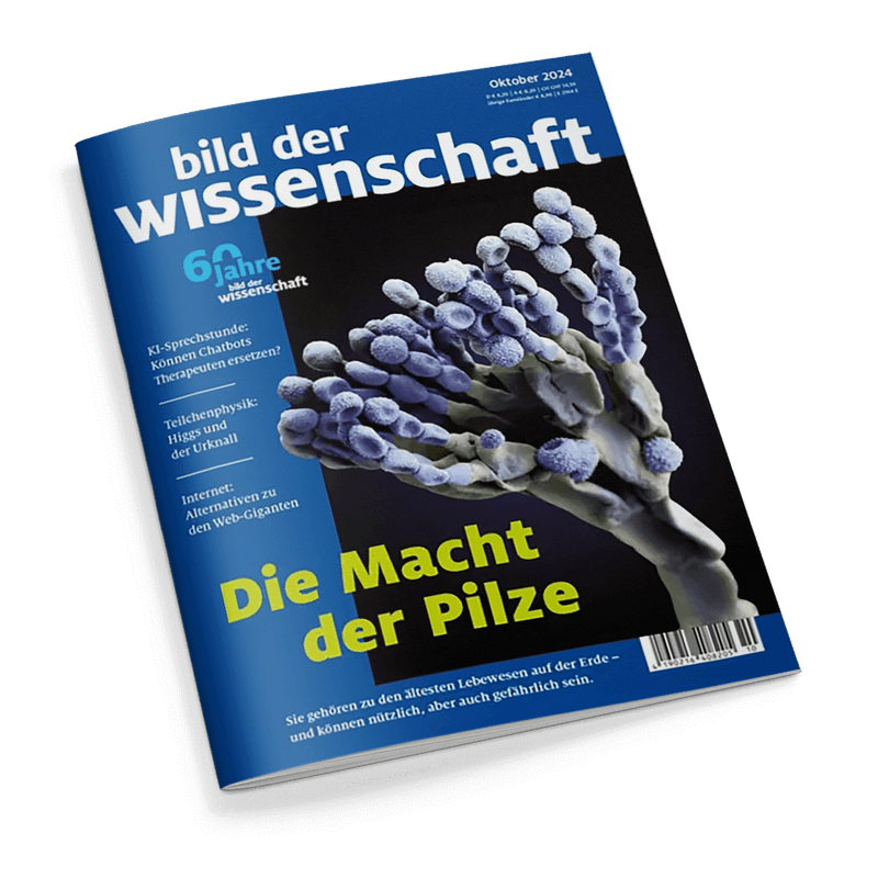 Bild der Wissenschaft