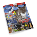 Titelbild der Zeitschrift „Galileo Genial“ mit großem Foto eines Luchses vor blauem Hintergrund und dem zentral platzierten Text „Luchse: Stärker als Wölfe?“; weitere sichtbare Inhalte: „2 Extras! IQ-Training + Strange World Sticker“, „Wer erfand die Brezel?“, „Was kann JEDES Smartphone?“, „Wieso rutscht der Rodel?“, „ANTIKE vs MODERNE ARENA“, „Verrückte Restaurants!“, „Achtung. Schlafwandler!“ sowie das Logo „Galileo Genial“ oben links.