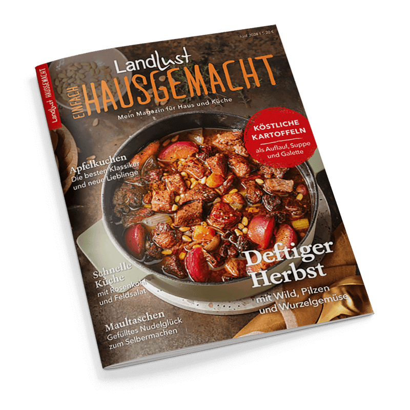 Titelbild des Kochmagazins „Landlust Einfach Hausgemacht“, Ausgabe Nr. 5/2024, mit einer Draufsicht auf einen gusseisernen Bräter mit herbstlichem Eintopf aus Fleischstücken, roten Apfelspalten, Pilzen und Wurzelgemüse, umgeben von Schriftzügen wie „Deftiger Herbst“, „Köstliche Kartoffeln“, „Apfelkuchen“, „Schnelle Küche“ und „Maultaschen“; Hintergrund aus hellem Holz mit Leinentuch, Perspektive leicht schräg von oben.