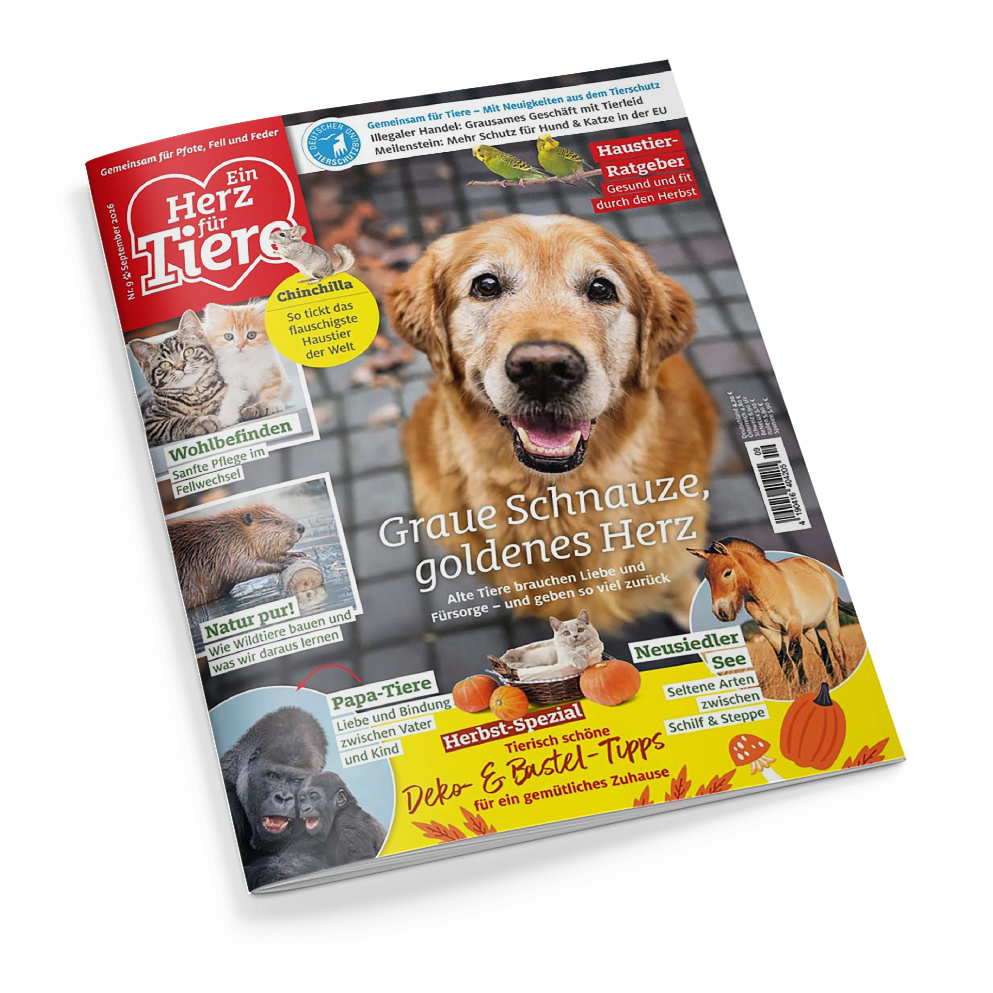 Schräg dargestelltes Magazin „Ein Herz für Tiere“ mit rotem Titelbereich und Logo des Deutschen Tierschutzbundes auf schwarzem Hintergrund. Das Cover zeigt zentral einen hellbraunen Hund, außerdem Katzen, Chinchilla, Wellensittiche, Pferde, Gorillas und ein Nagetier; sichtbare Texte sind „Graue Schnauze, goldenes Herz“, „Haustier-Ratgeber“, „Chinchilla“, „Wohlbefinden“, „Natur pur“, „Papa-Tiere“, „Neusiedler See“ und „Herbst-Spezial“.