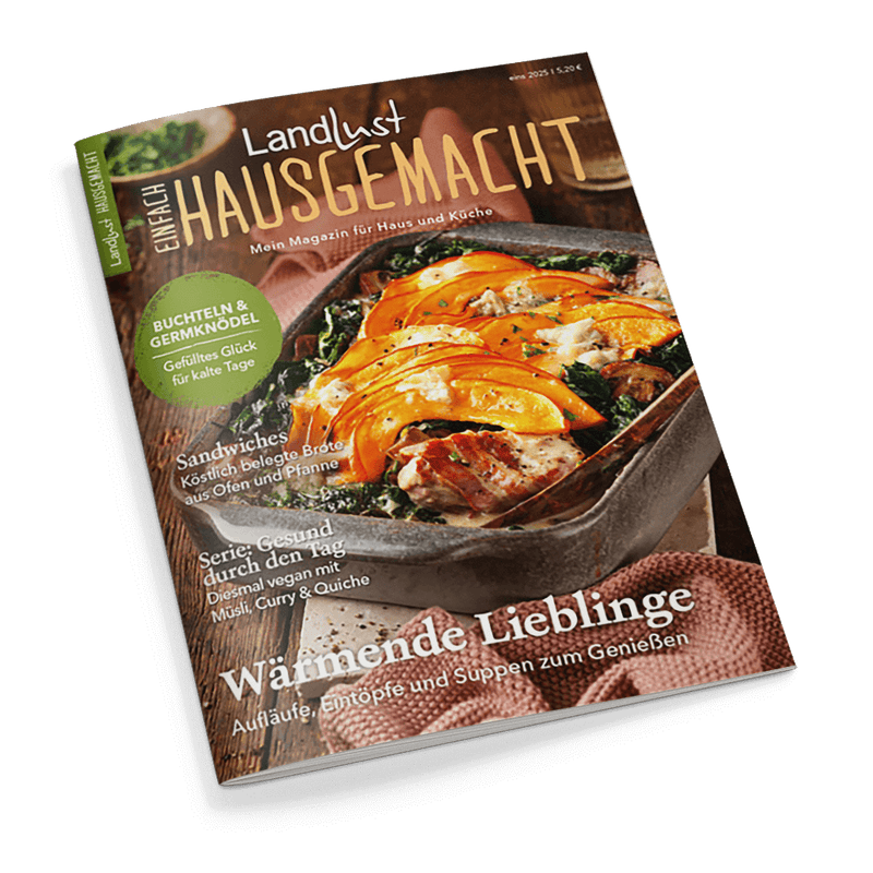 Titelbild der Zeitschrift „Landlust Einfach Hausgemacht“, Ausgabe 1/2025, zeigt einen rechteckigen Ofenauflauf mit orangefarbenem Kürbis, grünem Blattgemüse und überbackenem Käse, davor gestrickter rosa Topflappen auf dunklem Holztisch; Aufschriften u. a.: „Wärmende Lieblinge – Aufläufe, Eintöpfe und Suppen zum Genießen“, „Buchteln & Germknödel – Gefülltes Glück für kalte Tage“, „Sandwiches – Köstlich belegte Brote aus Ofen und Pfanne“.
