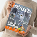 Helle, langärmlig bekleidete Person hält ein Magazin mit dem Titel „vögel“ vor graublauem Hintergrund. Auf dem Cover groß ein fliegender Habicht mit ausgebreiteten Flügeln und gelben Augen, unten rechts ein kleiner Singvogel mit blau-orange Brustgefieder. Textelemente: „HABICHT IM PORTRÄT“, „NEUER TIEFSTAND ERREICHT“, „BESSERE AUSSICHTEN“, „WIEDERERKANNT“, „WIEDERGEKEHRT“, „WIEDERBELEBT“.