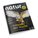 Titelbild der Zeitschrift „natur“ Ausgabe 6/2025 mit großformatigem Foto einer fliegenden Schleiereule vor unscharfem, dunklem Hintergrund, darüber weißer Zeitschriftentitel „natur“ und gelbe Hauptüberschrift „Freunde der Nacht“, Untertitel: „Wie sich Eulen in der Welt behaupten“; seitlich kleinere Artikelhinweise u. a. zu Jaguarundi, zertifiziertem Palmöl und Vorzeigezoo, rechts oben gelber Kreis mit Hinweis auf Schwerpunktthema.