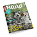 Titelbild der Zeitschrift „Partner Hund“ mit zwei Hunden mittig im Vordergrund vor grünem Naturhintergrund; links ein grauer, wolfähnlicher Hund mit dunkelgrauem Fell, rechts ein kleiner weißer Hund mit braunen Flecken am Kopf. Textaufschriften umfassen u. a.: „Wie viel Hund braucht ein Hund?“, „Zukunft der Medizin“, „7 Tipps für ein gelungenes Distanz-Training“, „Häufchenkunde“, sowie „Unsere Rasse-Porträts: Kleiner Münsterländer & Schwedischer Vallhund“.