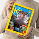 Aufgeschlagenes, schräg gehaltenes Magazin „National Geographic“ mit gelbem Rand und großem Gecko-Foto auf blauem Hintergrund, gehalten von einer Person im beigefarbenen Strickpullover. Sichtbare Texte: „Coole Fakten – Verrückt, aber wahr!“, „GECKOS: Kopfüber auf Insektenjagd!“, „Schiffswracks: Schätze unter Wasser!“, „Sommer: Cooles über die heiße Jahreszeit!“ und „Schokolade: Ihre unglaubliche Geschichte!“.